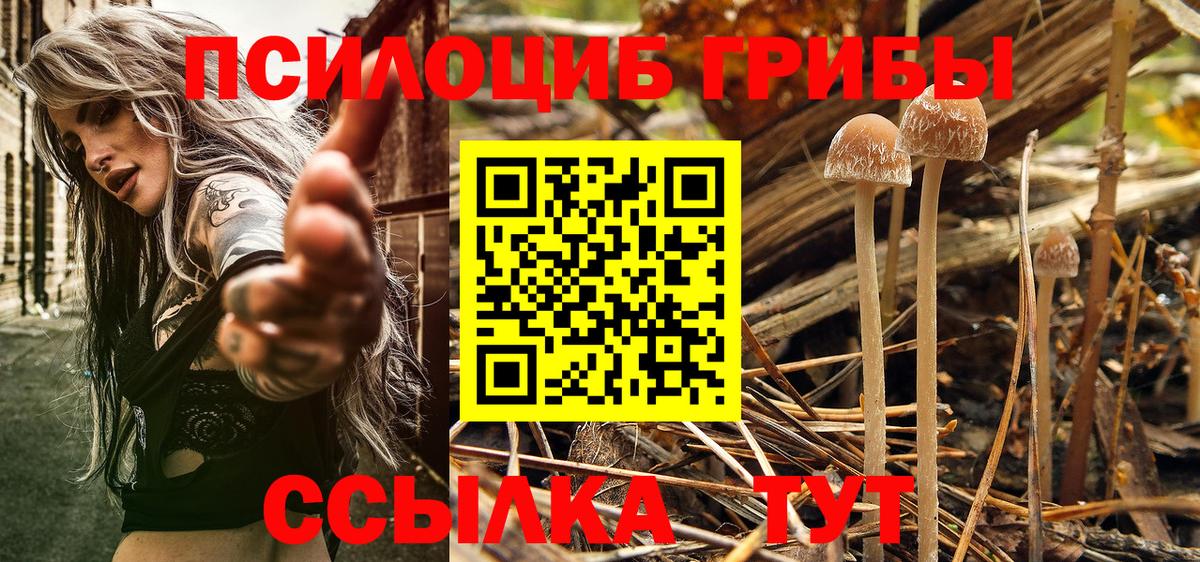 Галлюциногенные грибы GOLDEN TEACHER Сосновоборск